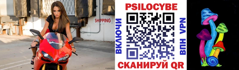 Галлюциногенные грибы Psilocybe  Светлоград 